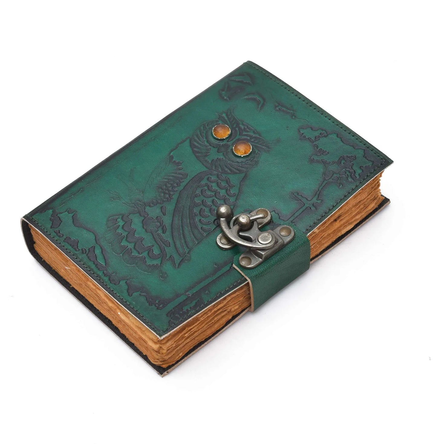 Green leather-bound book with owl design and metal clasp on a white background